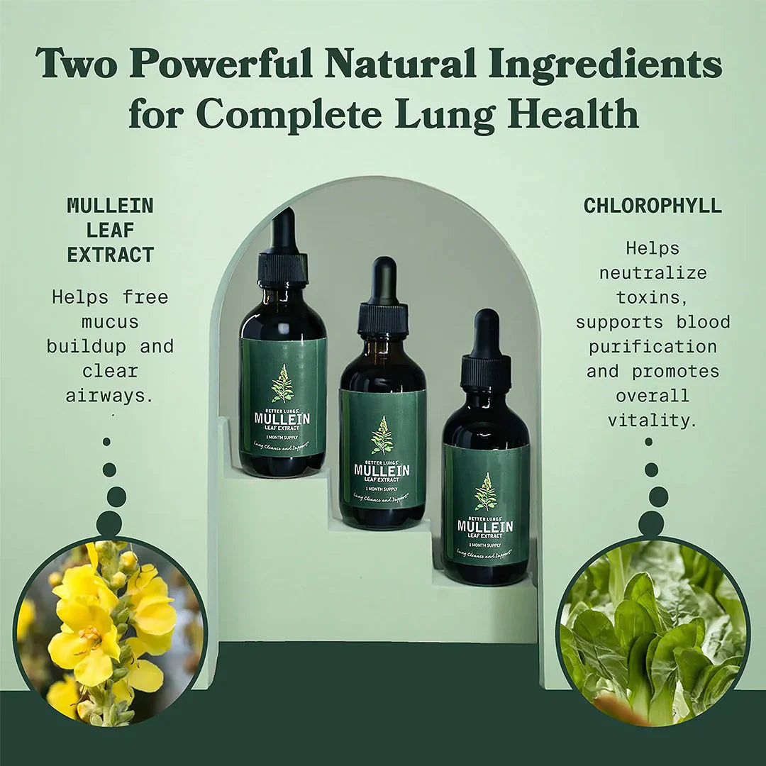 Mullein & Chlorophyll Extract