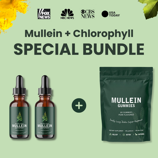 Mullein & Chlorophyll Extract + Gummines (NEW)